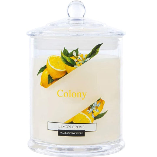 Colony Scented Jar Candle 120g