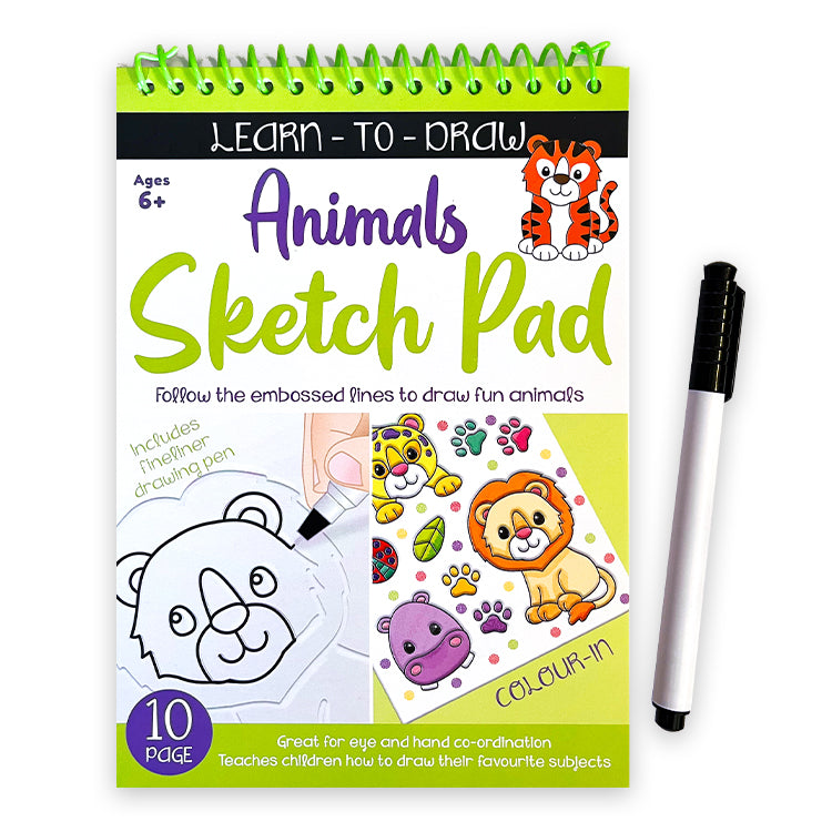 Learn To Draw Sketch Pad Set